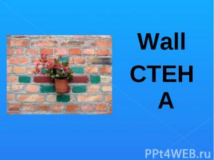 Wall Wall СТЕНА