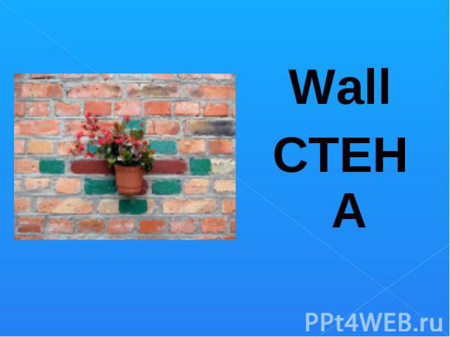 Wall Wall СТЕНА