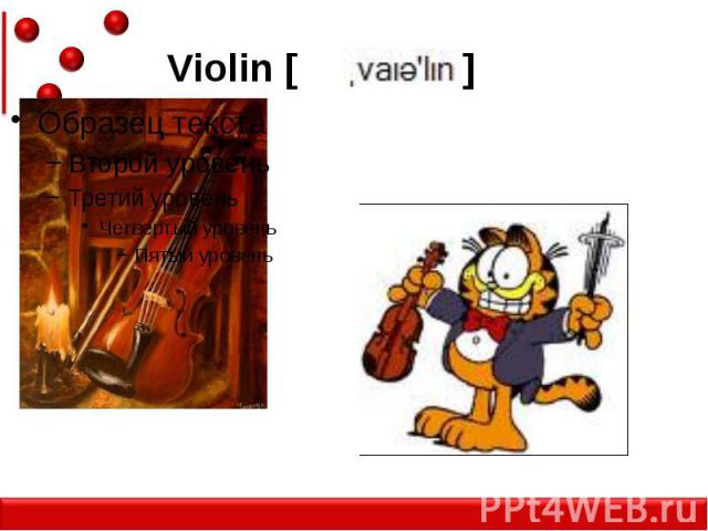 Violin [ ]