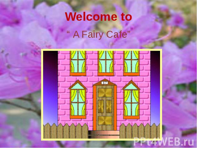 Welcome to “ A Fairy Cafe”