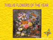 Twelve flowers of the year