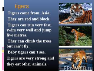 Tigers come from Asia. Tigers come from Asia. They are red and black. Tigers can