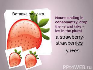 Nouns ending in consonant+y, drop the –y and take –ies in the plural a strawberr