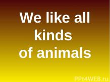 All kinds of animals