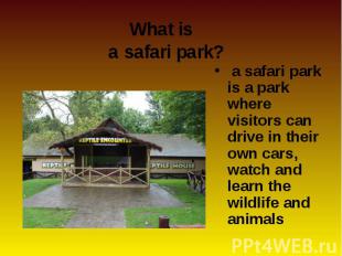 a safari park is a park where visitors can drive in their own cars, watch and le