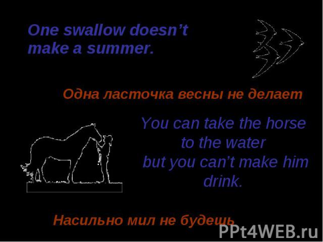 One swallow doesn’t One swallow doesn’t make a summer.