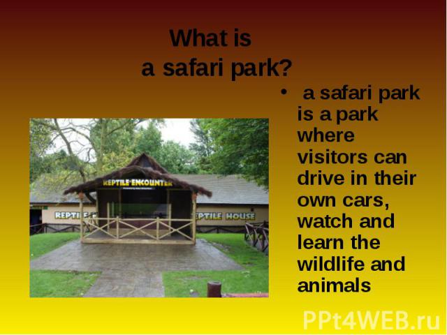 a safari park is a park where visitors can drive in their own cars, watch and learn the wildlife and animals a safari park is a park where visitors can drive in their own cars, watch and learn the wildlife and animals