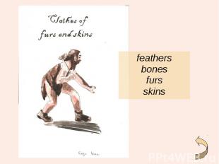 feathers feathers bones furs skins