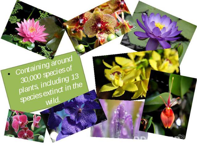 Containing around 30,000 species of plants, including 13 species extinct in the wild.