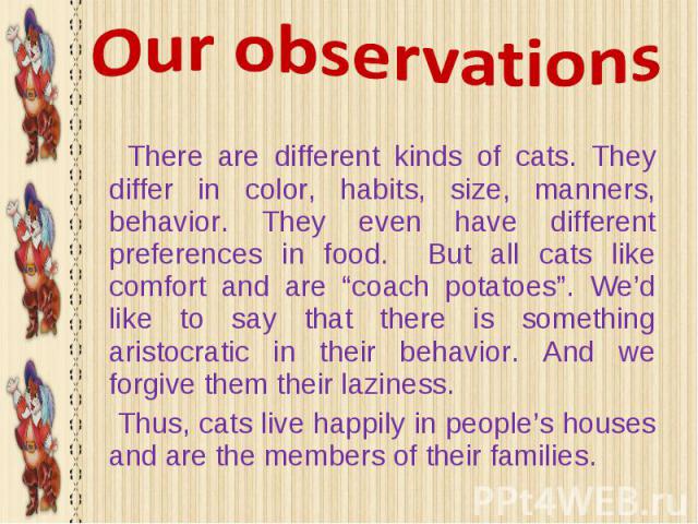 There are different kinds of cats. They differ in color, habits, size, manners, behavior. They even have different preferences in food. But all cats like comfort and are “coach potatoes”. We’d like to say that there is something aristocratic in thei…