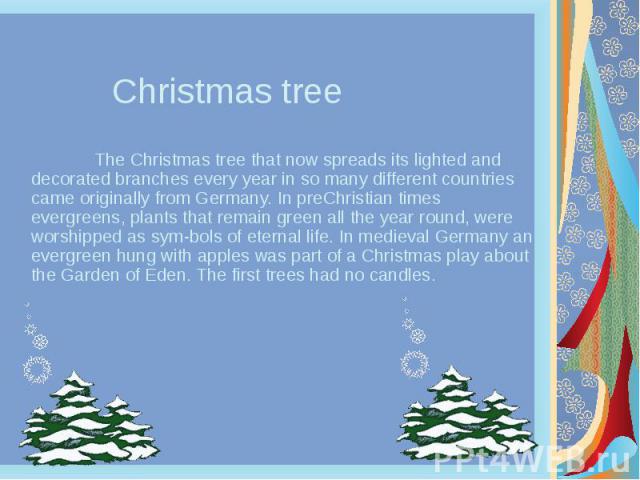 Christmas tree The Christmas tree that now spreads its lighted and decorated branches every year in so many different countries came originally from Germany. In preChristian times evergreens, plants that remain green all the year round, were worship…