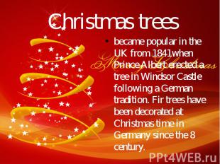 Christmas trees became popular in the UK from 1841when Prince Albert erected a t