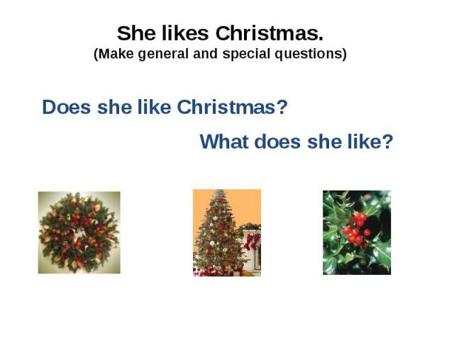 She likes Christmas. (Make general and special questions)