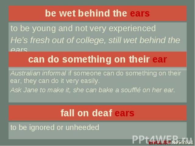 be wet behind the ears be wet behind the ears