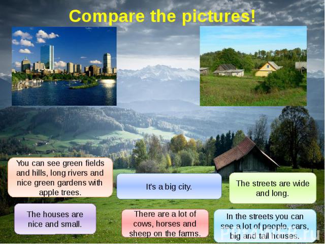Compare the pictures!