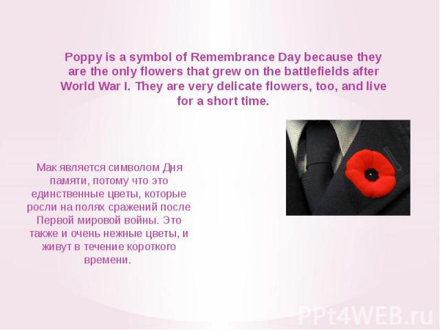 Poppy is a symbol of Remembrance Day because they are the only flowers that grew on the battlefields after World War I. They are very delicate flowers, too, and live for a short time. Мак является символом Дня памяти, потому что это единственные цве…