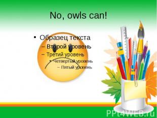 No, owls can!