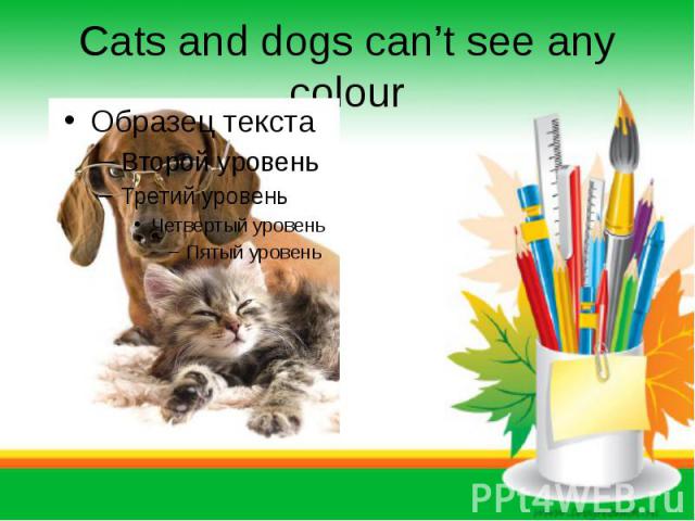 Cats and dogs can’t see any colour