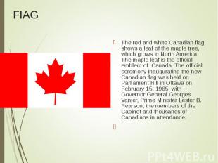 The red and white Canadian flag shows a leaf of the maple tree, which grows in N