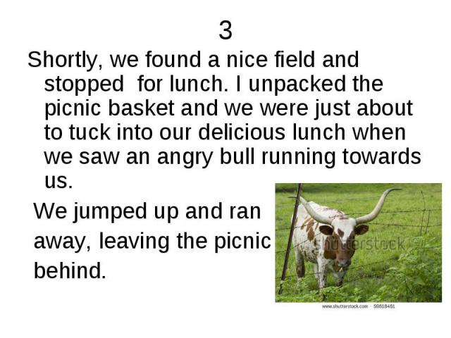 Shortly, we found a nice field and stopped for lunch. I unpacked the picnic basket and we were just about to tuck into our delicious lunch when we saw an angry bull running towards us. Shortly, we found a nice field and stopped for lunch. I unpacked…