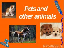 Pets and other animals