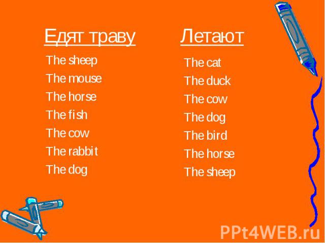 The sheep The sheep The mouse The horse The fish The cow The rabbit The dog