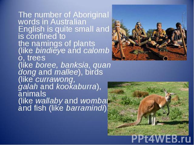 The number of Aboriginal words in Australian English is quite small and is confined to the namings of plants (like bindieye and calombo, trees (like boree, banksia, quandong and mallee), birds (like&…