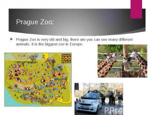 Prague Zoo: Prague Zoo is very old and big, there are you can see many different