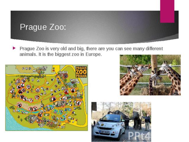 Prague Zoo: Prague Zoo is very old and big, there are you can see many different animals. It is the biggest zoo in Europe.