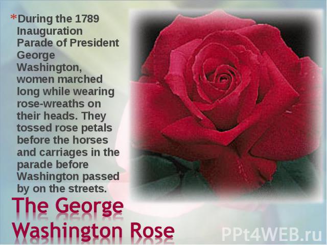 During the 1789 Inauguration Parade of President George Washington, women marched long while wearing rose-wreaths on their heads. They tossed rose petals before the horses and carriages in the parade before Washington passed by on the streets. Durin…