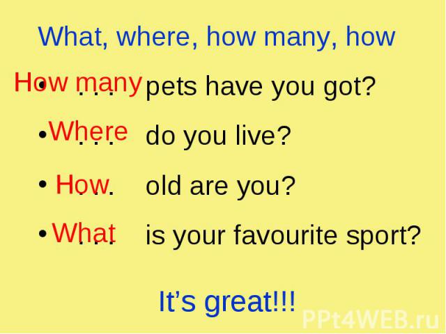 What, where, how many, how What, where, how many, how . . . pets have you got? . . . do you live? . . . old are you? . . . is your favourite sport?