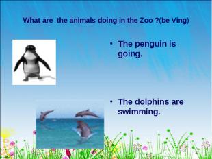 The penguin is going. The penguin is going. The dolphins are swimming.
