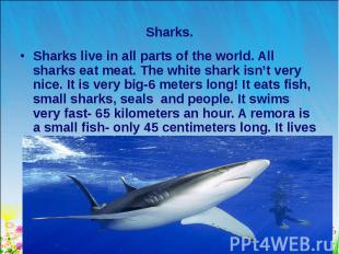 Sharks live in all parts of the world. All sharks eat meat. The white shark isn’