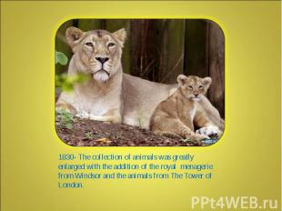 1830- The collection of animals was greatly enlarged with the addition of the ro