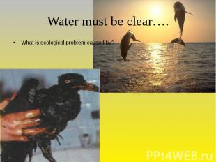 Water must be clear…. What is ecological problem caused by?