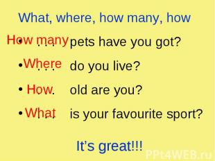 What, where, how many, how What, where, how many, how . . . pets have you got? .