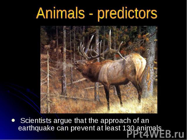 Scientists argue that the approach of an earthquake can prevent at least 130 animals. Scientists argue that the approach of an earthquake can prevent at least 130 animals.