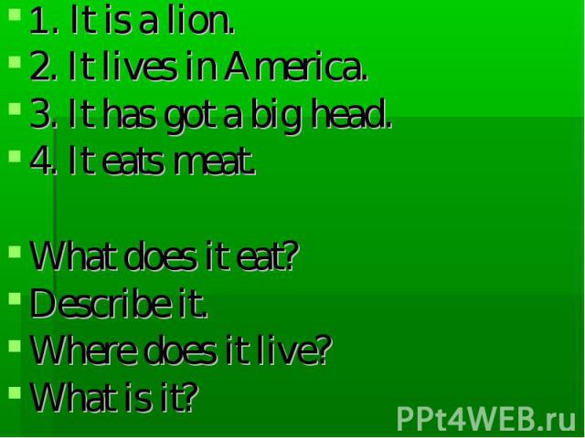 1. It is a lion. 2. It lives in America. 3. It has got a big head. 4. It eats meat. What does it eat? Describe it. Where does it live? What is it?