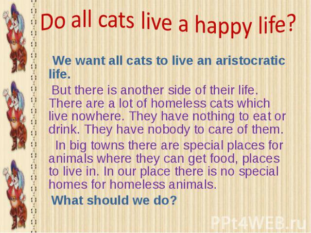 We want all cats to live an aristocratic life. We want all cats to live an aristocratic life. But there is another side of their life. There are a lot of homeless cats which live nowhere. They have nothing to eat or drink. They have nobody to care o…
