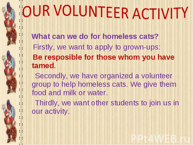 What can we do for homeless cats? What can we do for homeless cats? Firstly, we want to apply to grown-ups: Be resposible for those whom you have tamed. Secondly, we have organized a volunteer group to help homeless cats. We give them food and milk …
