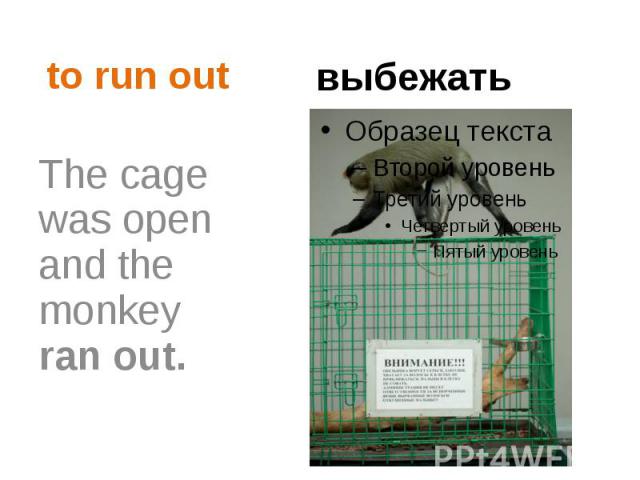 to run out The cage was open and the monkey ran out.
