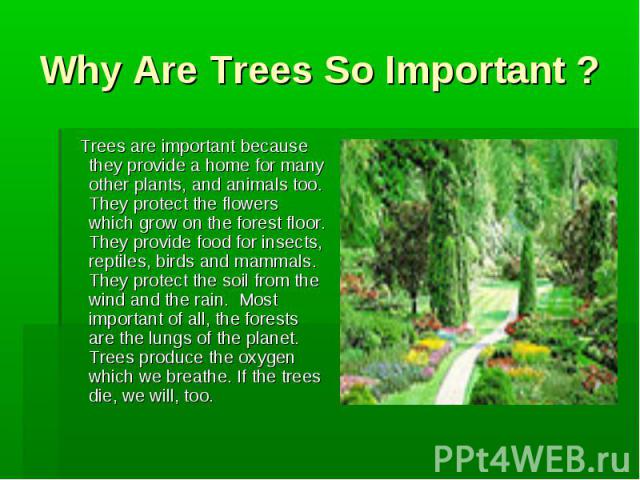 Why Are Trees So Important ? Trees are important because they provide a home for many other plants, and animals too. They protect the flowers which grow on the forest floor. They provide food for insects, reptiles, birds and mammals. They protect th…