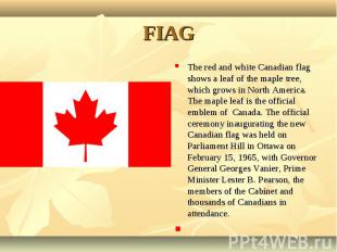 The red and white Canadian flag shows a leaf of the maple tree, which grows in N
