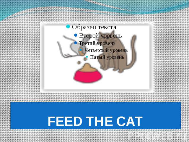 FEED THE CAT