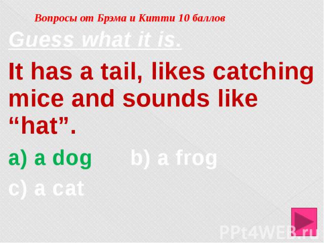 Вопросы от Брэма и Китти 10 баллов Guess what it is. It has a tail, likes catching mice and sounds like “hat”. a) a dog b) a frog c) a cat