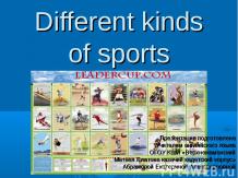 Различные виды спорта