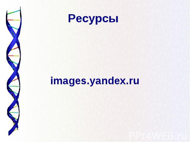 Ресурсы images.yandex.ru