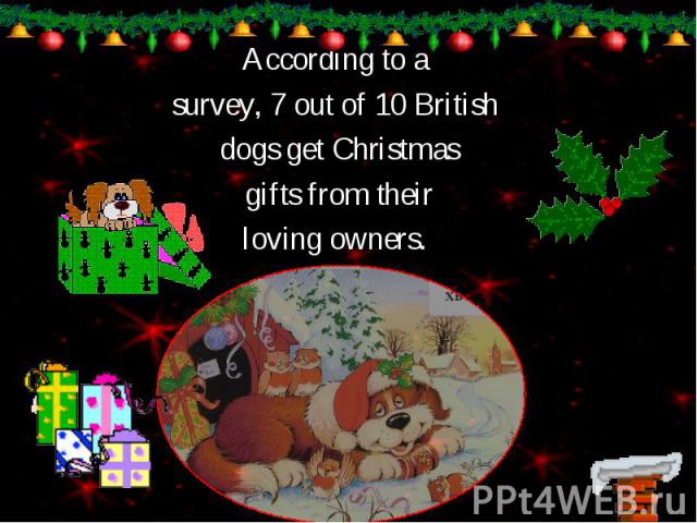 According to a According to a survey, 7 out of 10 British dogs get Christmas gifts from their loving owners.