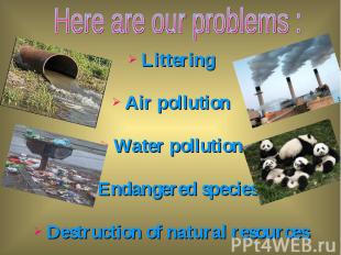 Littering Littering Air pollution Water pollution Endangered species Destruction
