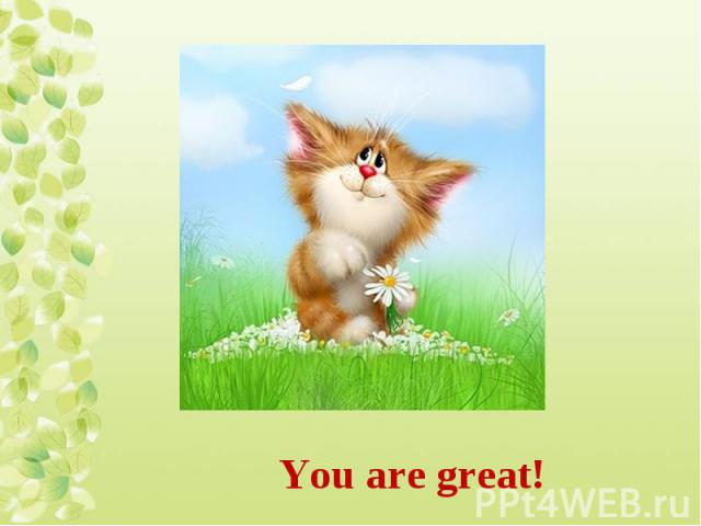 You are great!